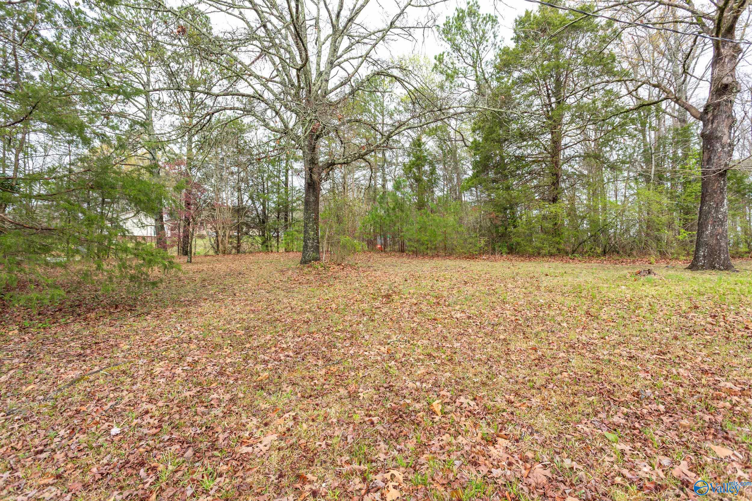 5298 Main Street, Hokes Bluff, Alabama image 29