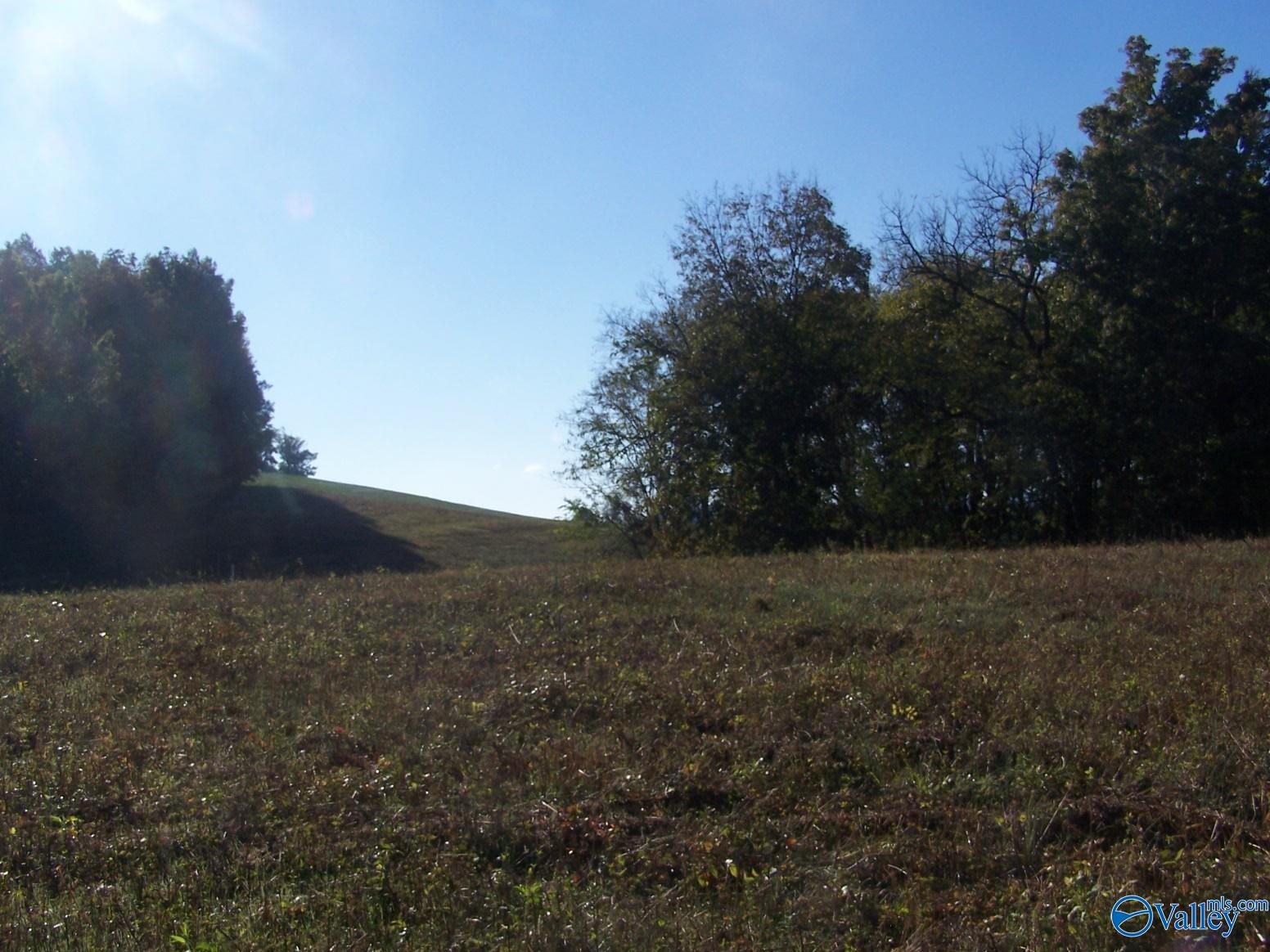 2.5 Acres Nance Road, Pulaski, Tennessee image 16