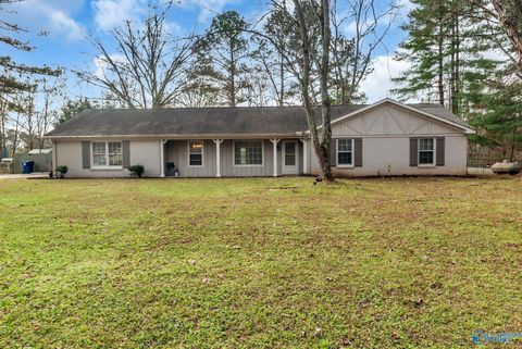Photo of 110 Independence Drive, Meridianville, AL 35759 (MLS # 21905764)