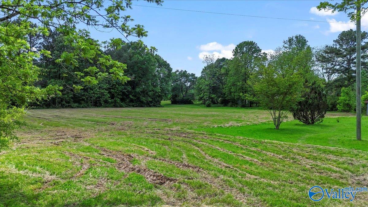 414 Edmondson Road, Hanceville, Alabama image 17