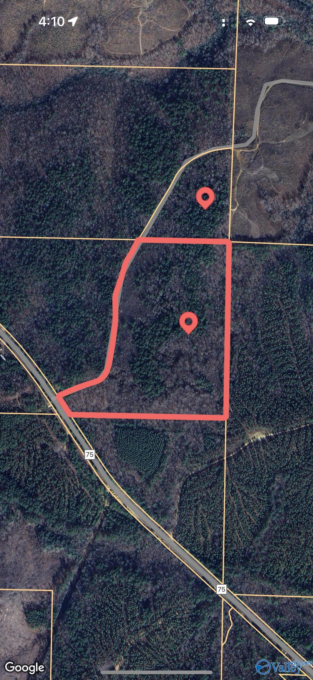 37.7 Acres Old Fred Williams Road, Hamilton, Alabama image 5