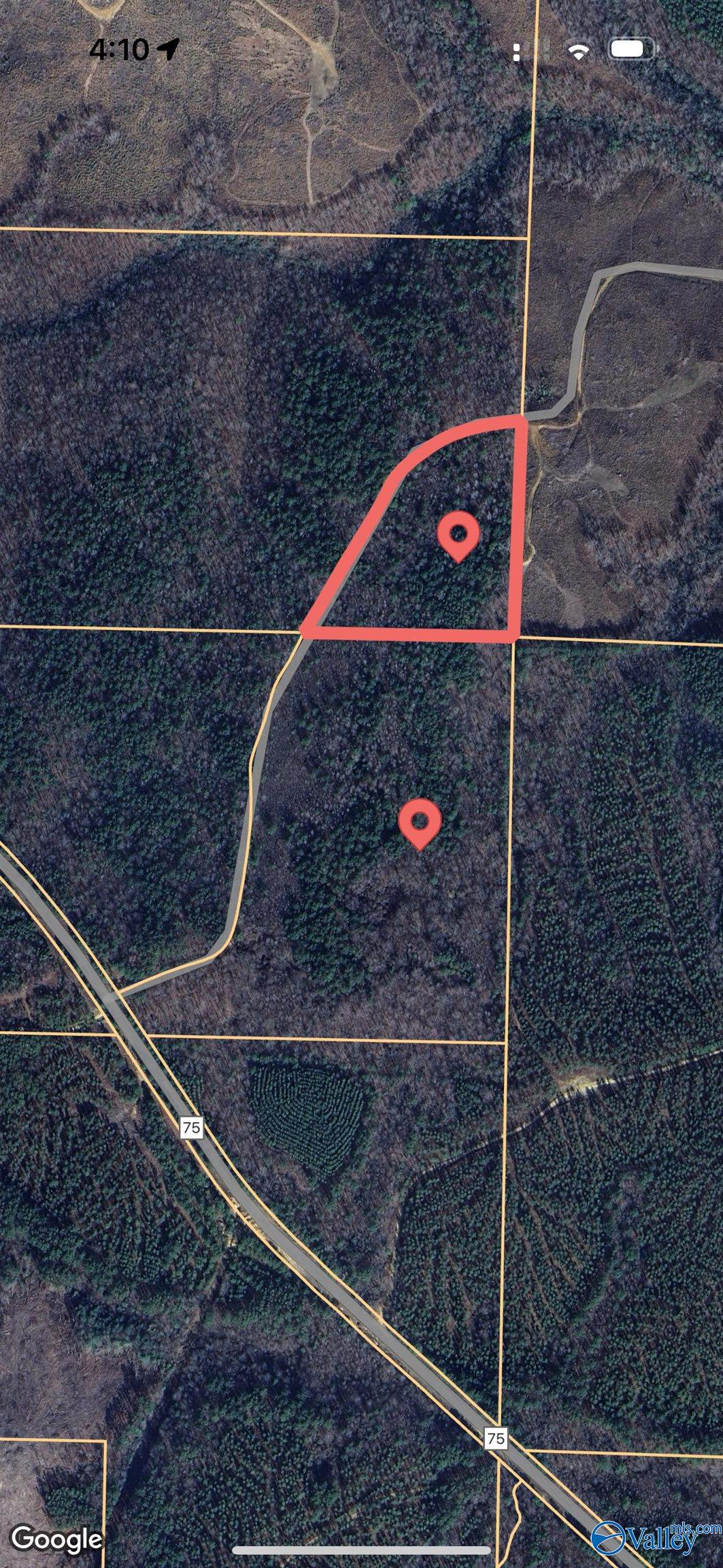 36 Acres Old Fred Williams Road, Hamilton, Alabama image 6