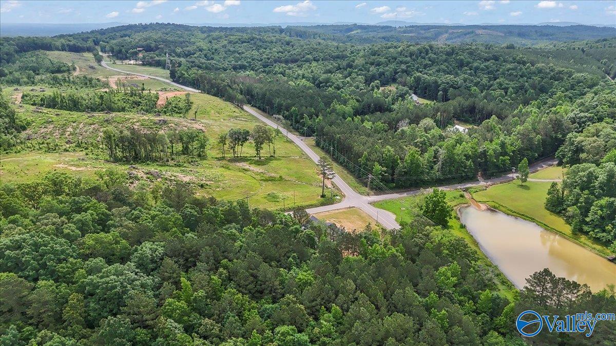658 County Road 587, Hanceville, Alabama image 13