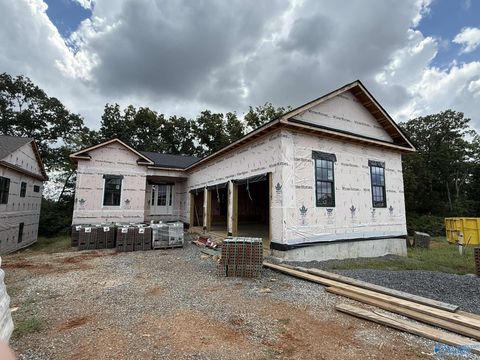 147 Bienville Street Madison AL 35758