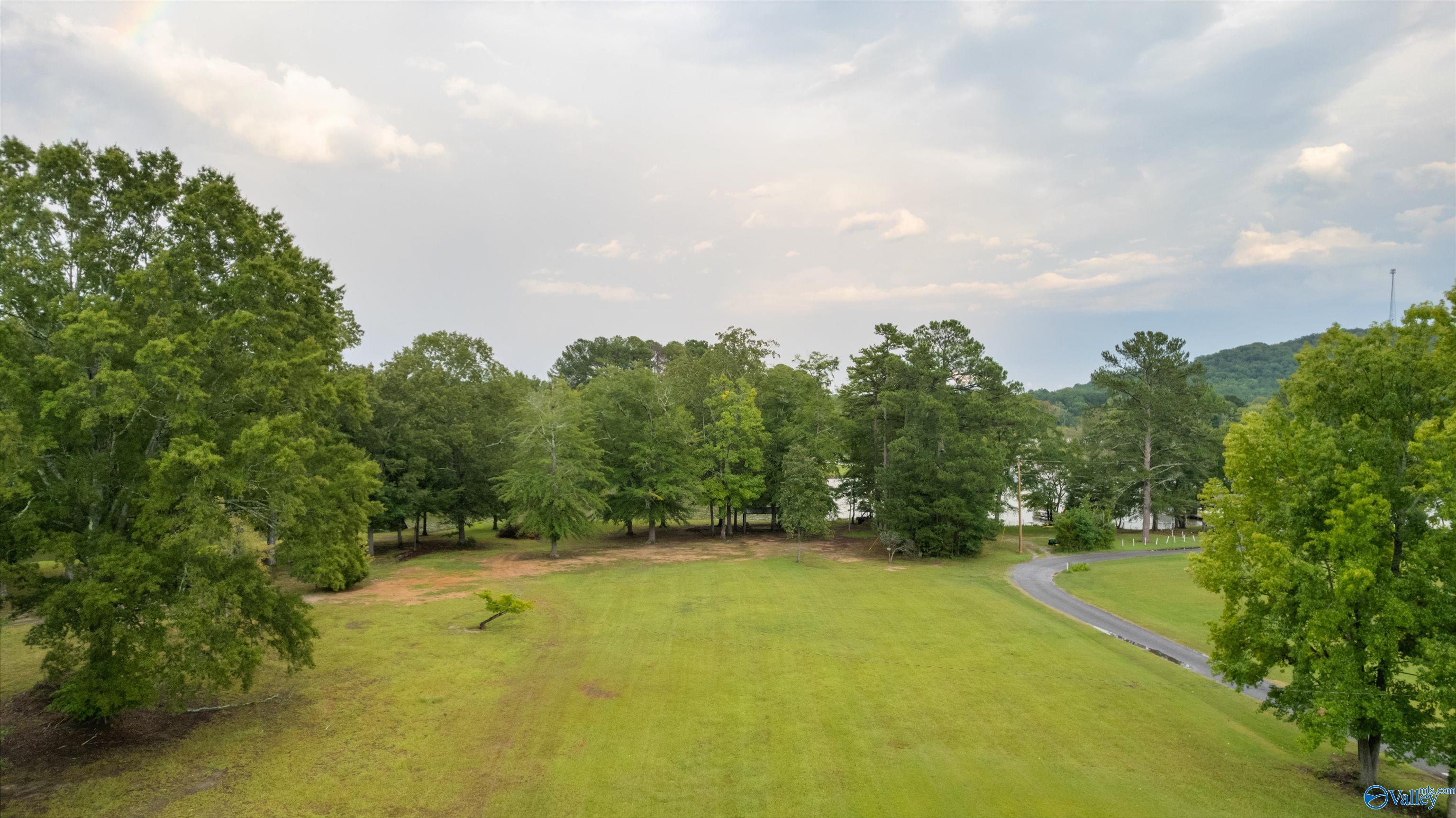 850 County Road 401, Cedar Bluff, Alabama image 9