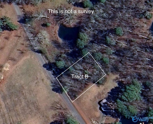 HAMMONDS RD, FYFFE, AL 35971 - Image 81d0d06b66c3452abb93d47566228dfe/1672600680