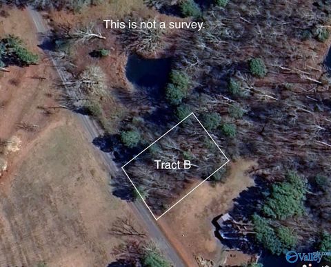 Vacant Land For Sale - TRACT B Hammonds Road<br/> Fyffe, AL 35971