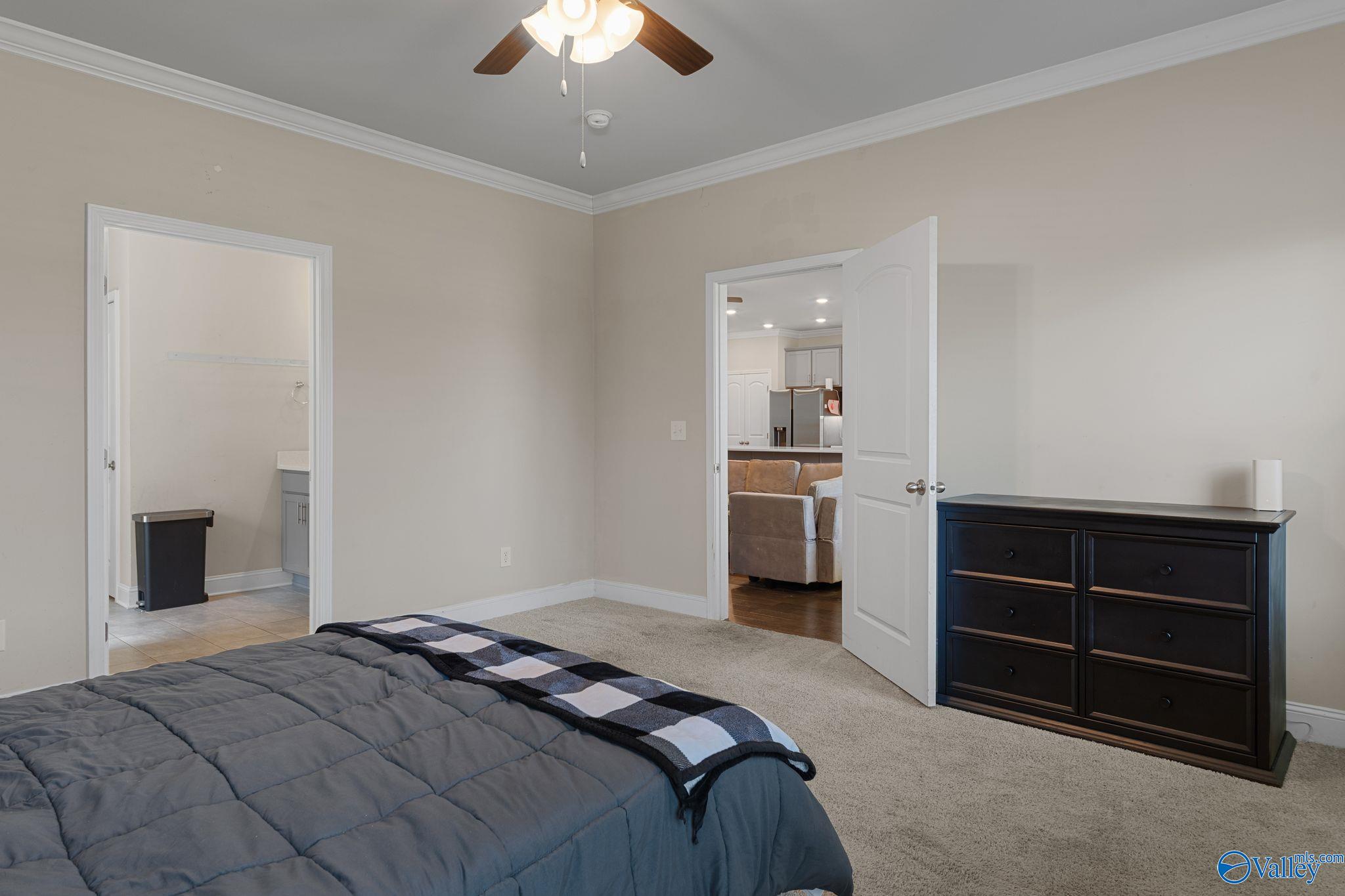 28622 Paseo Road, Madison, Alabama image 26