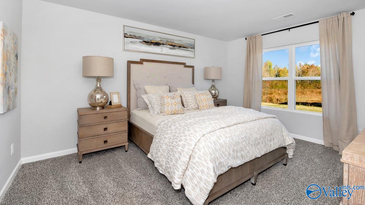 9903 Sequoyah Cove Drive, Owens Cross Roads, Alabama image 19