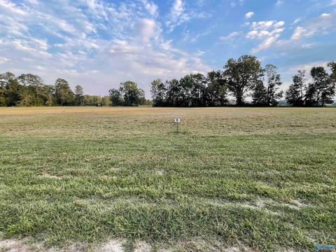 Vacant Land For Sale - 2873 Lake Forest Court<br/> Etowah County, Southside, AL 35907