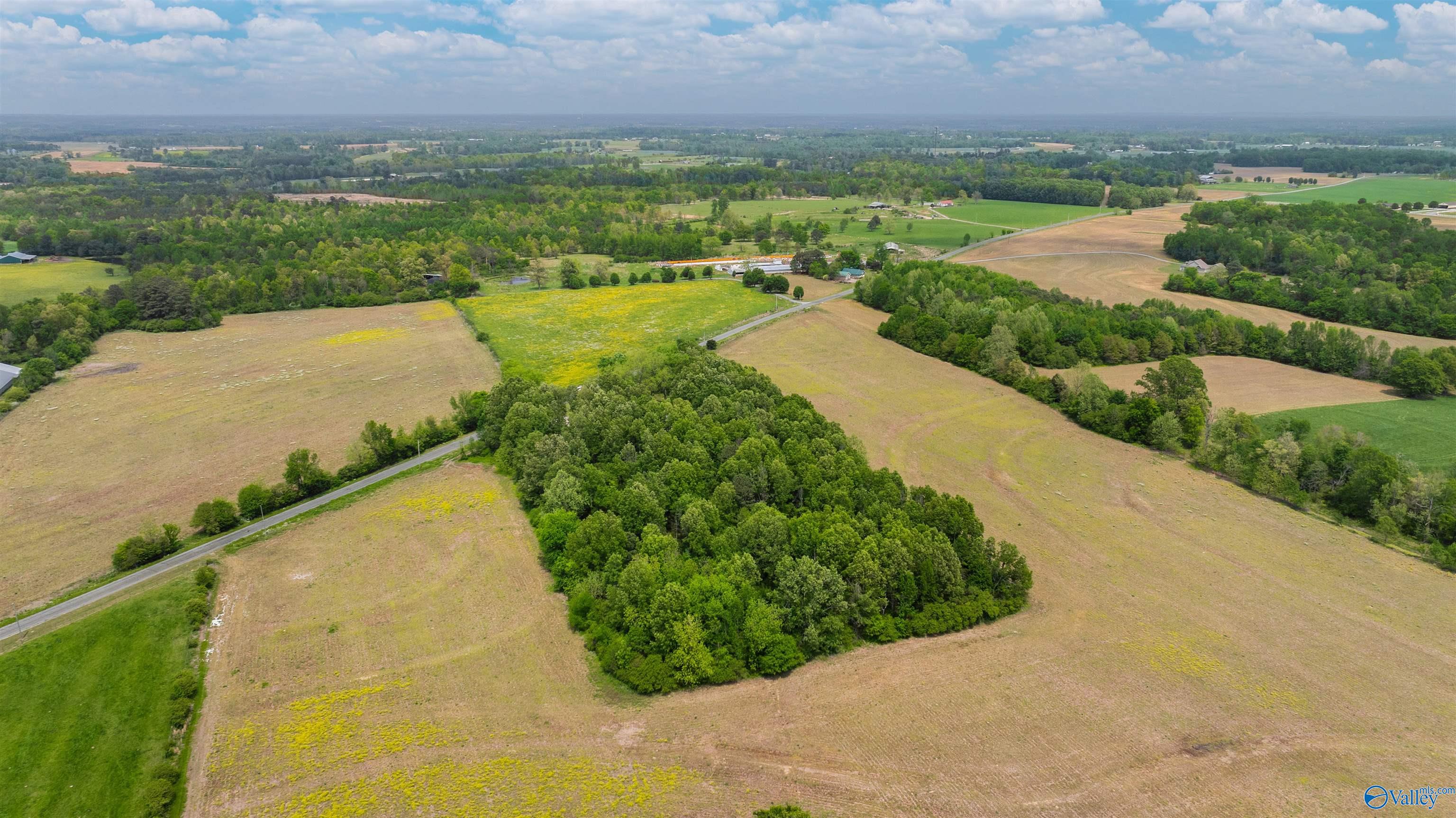 2061 County Road 76, Fyffe, Alabama image 49