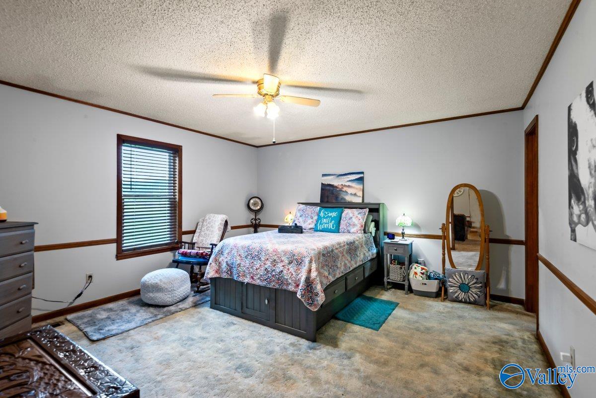 331 Scoles Road, Guntersville, Alabama image 21