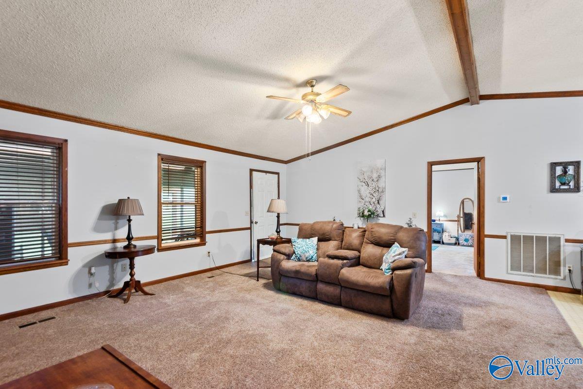 331 Scoles Road, Guntersville, Alabama image 11