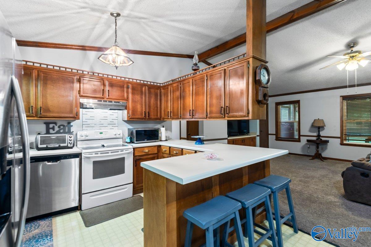 331 Scoles Road, Guntersville, Alabama image 16
