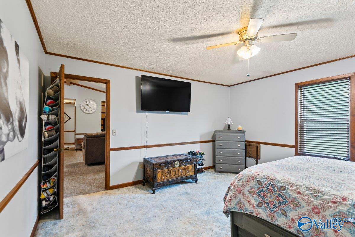 331 Scoles Road, Guntersville, Alabama image 19