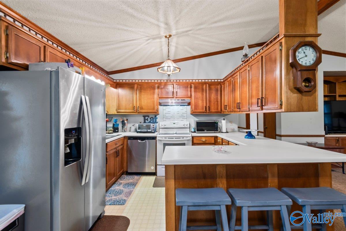 331 Scoles Road, Guntersville, Alabama image 17