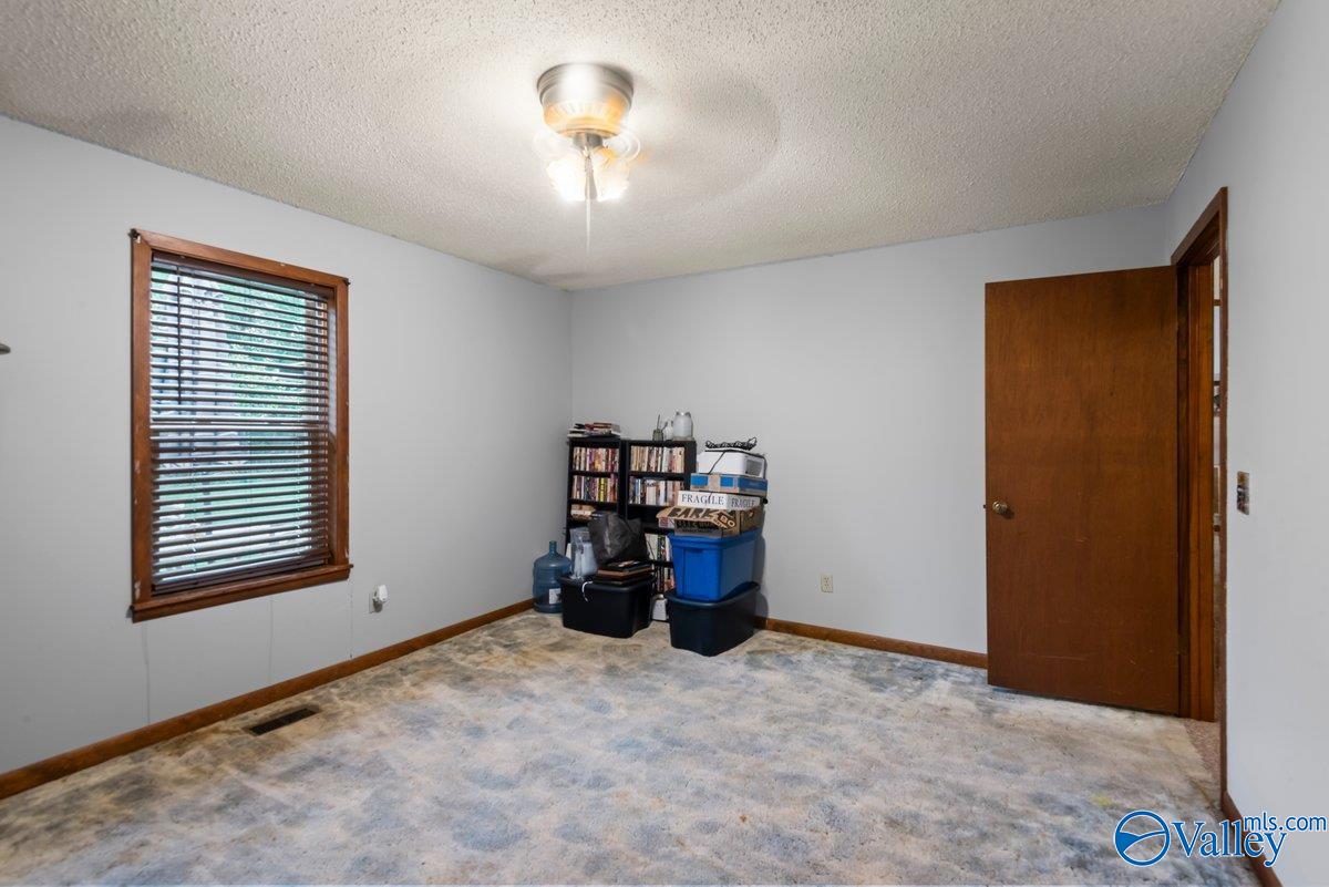 331 Scoles Road, Guntersville, Alabama image 25