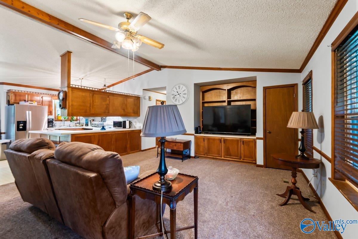 331 Scoles Road, Guntersville, Alabama image 12