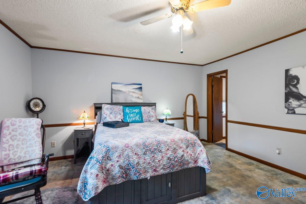 331 Scoles Road, Guntersville, Alabama image 20