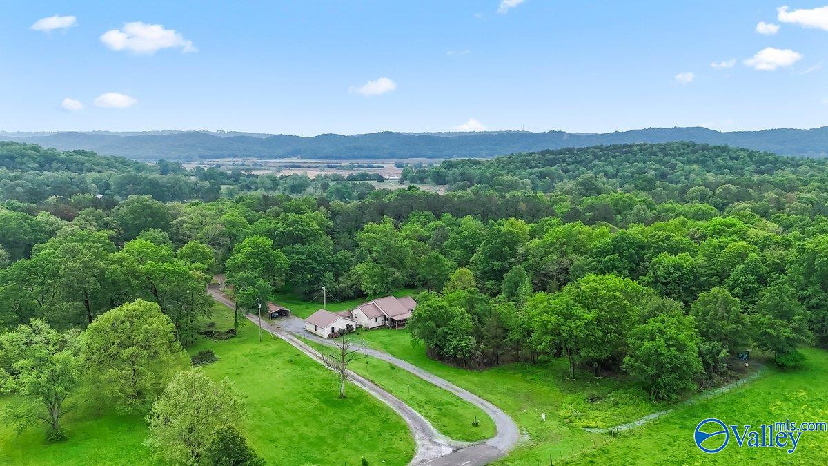 331 Scoles Road, Guntersville, Alabama image 1