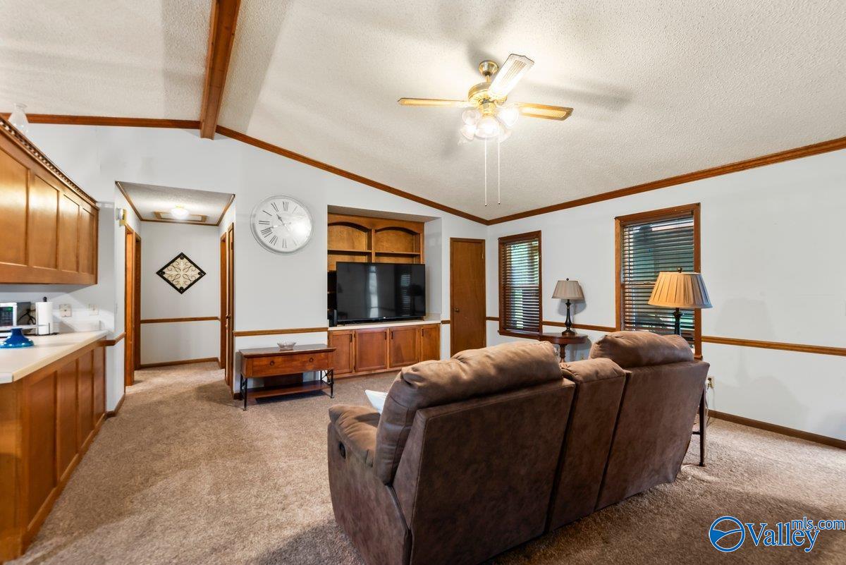 331 Scoles Road, Guntersville, Alabama image 13