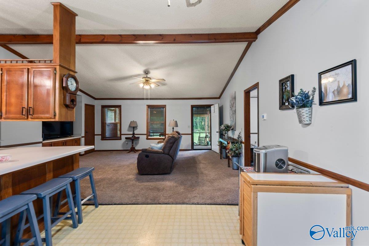 331 Scoles Road, Guntersville, Alabama image 14