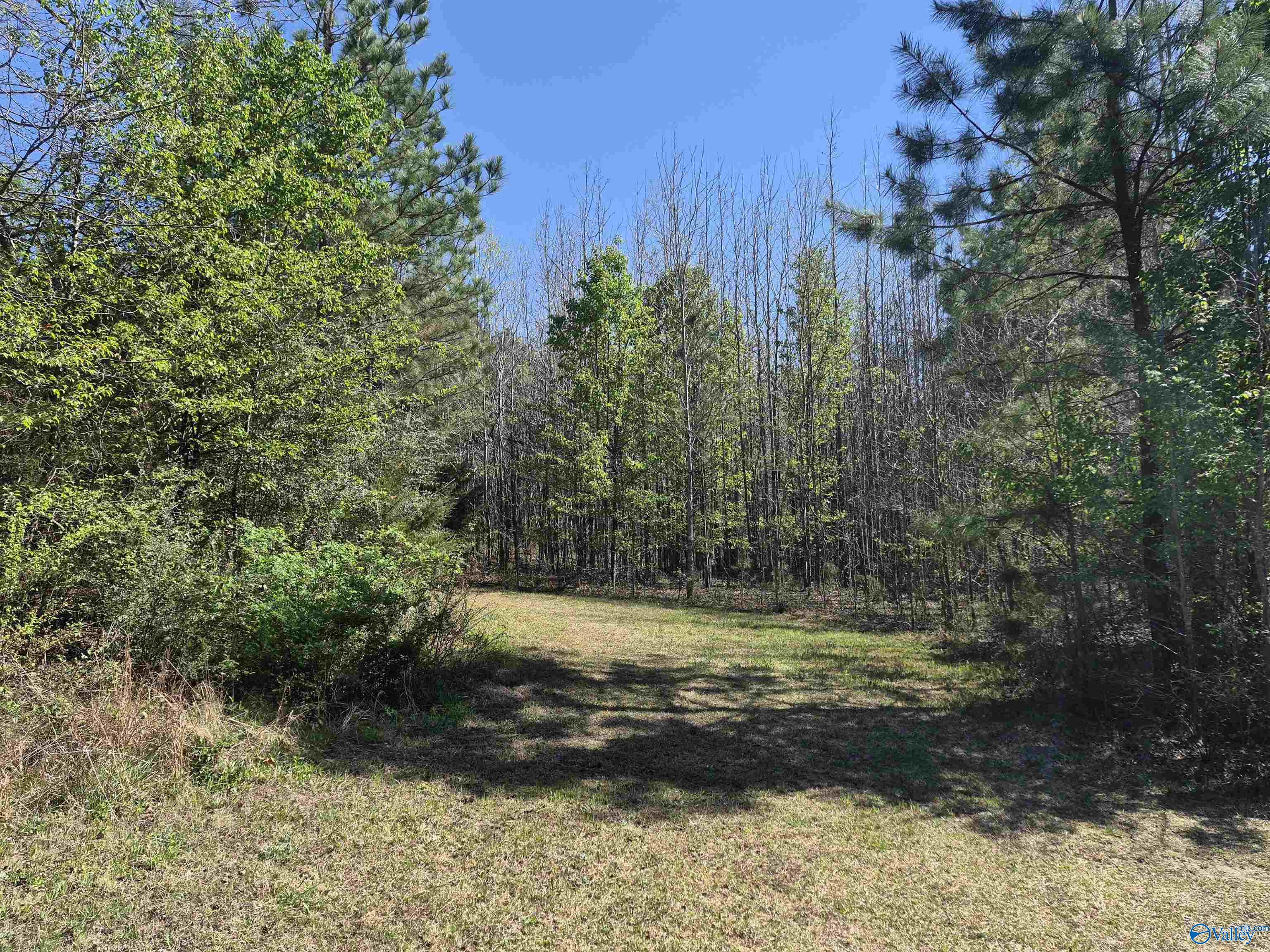 8855 Frankfort Road