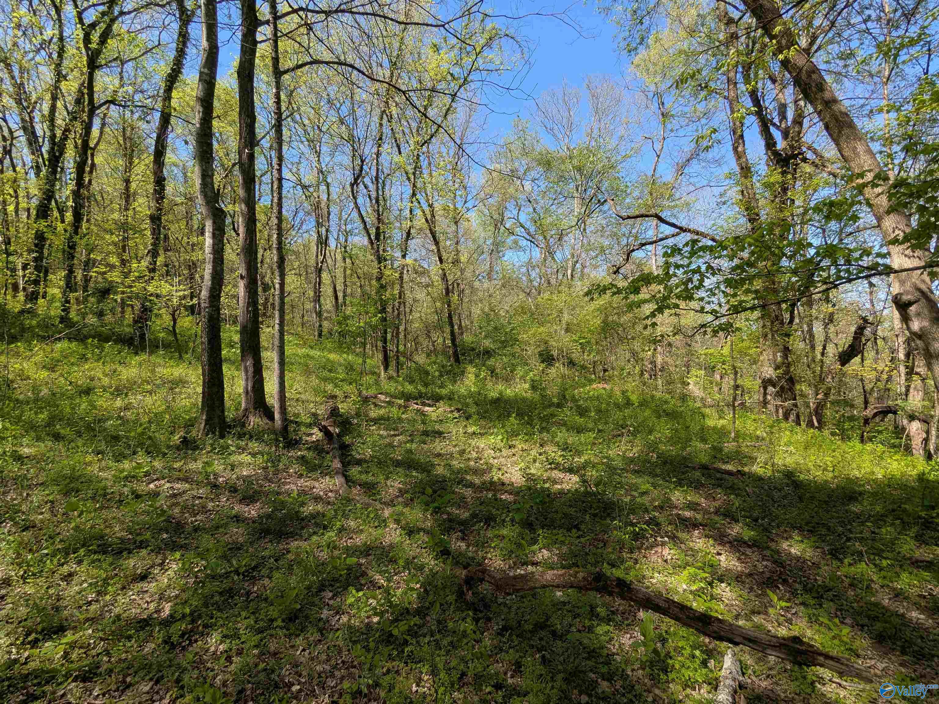 9 Old Stage Road, Ardmore, Tennessee image 16