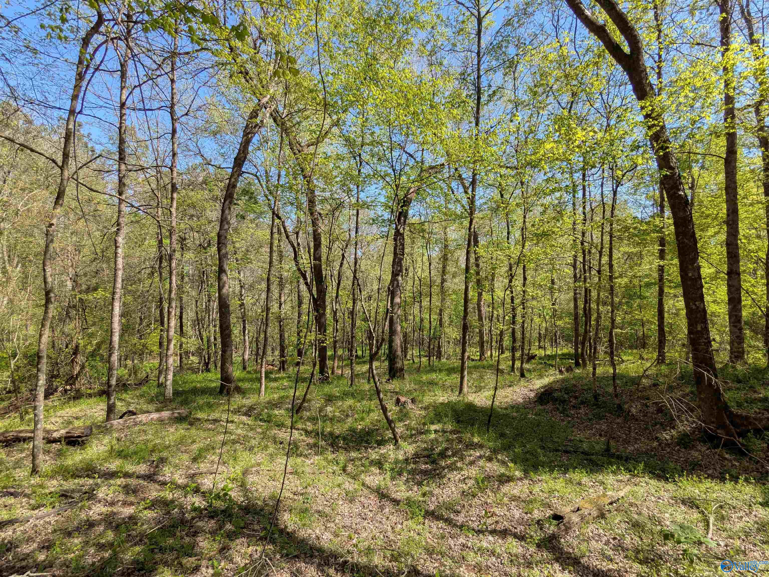 9 Old Stage Road, Ardmore, Tennessee image 17
