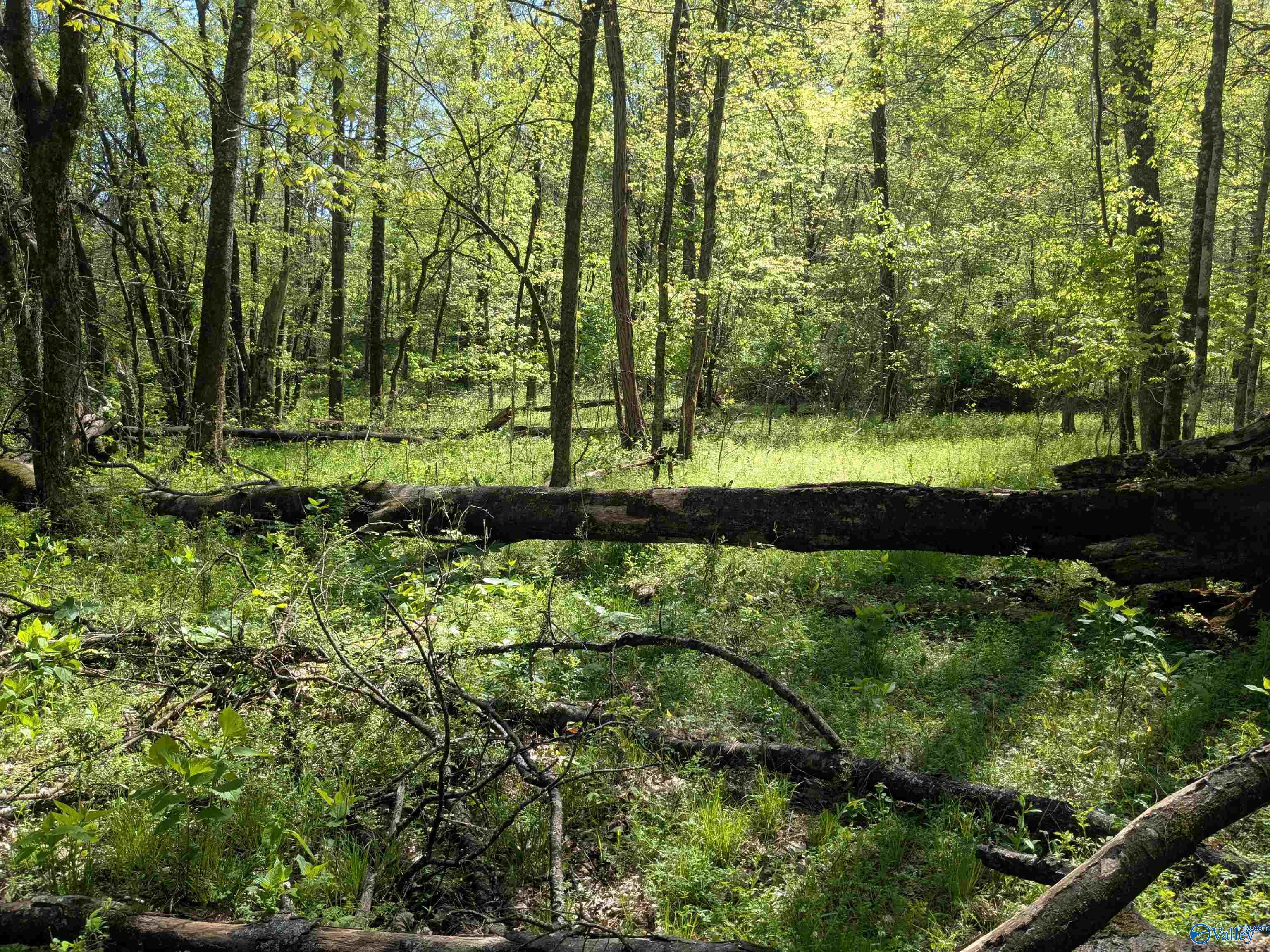 9 Old Stage Road, Ardmore, Tennessee image 19