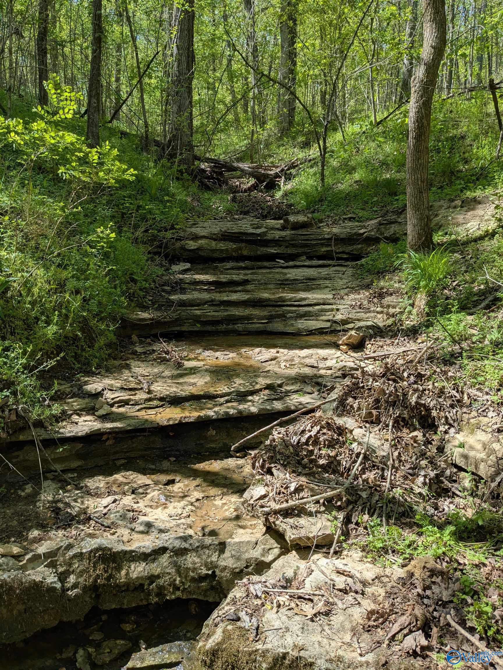 9 Old Stage Road, Ardmore, Tennessee image 12