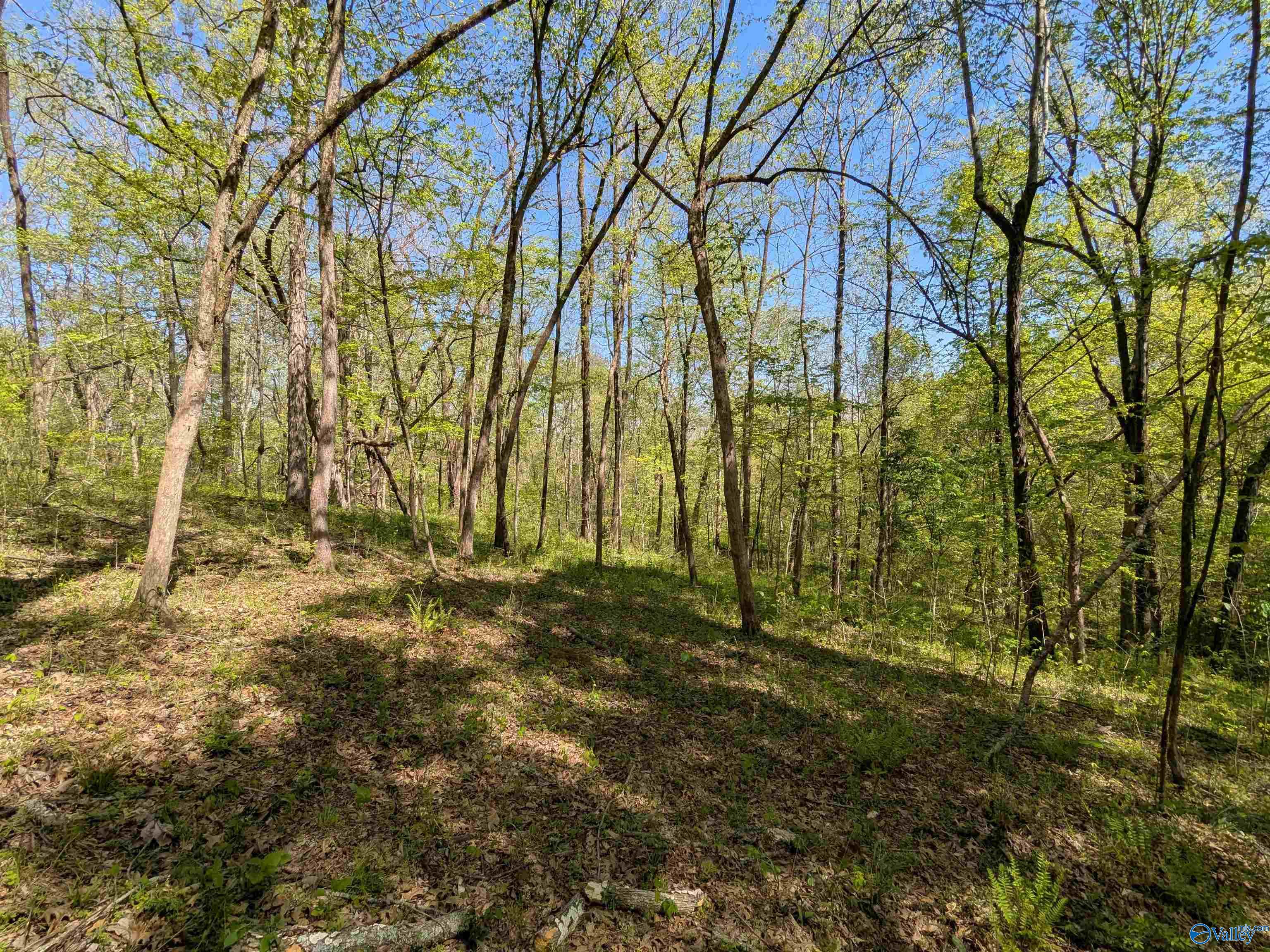 9 Old Stage Road, Ardmore, Tennessee image 11