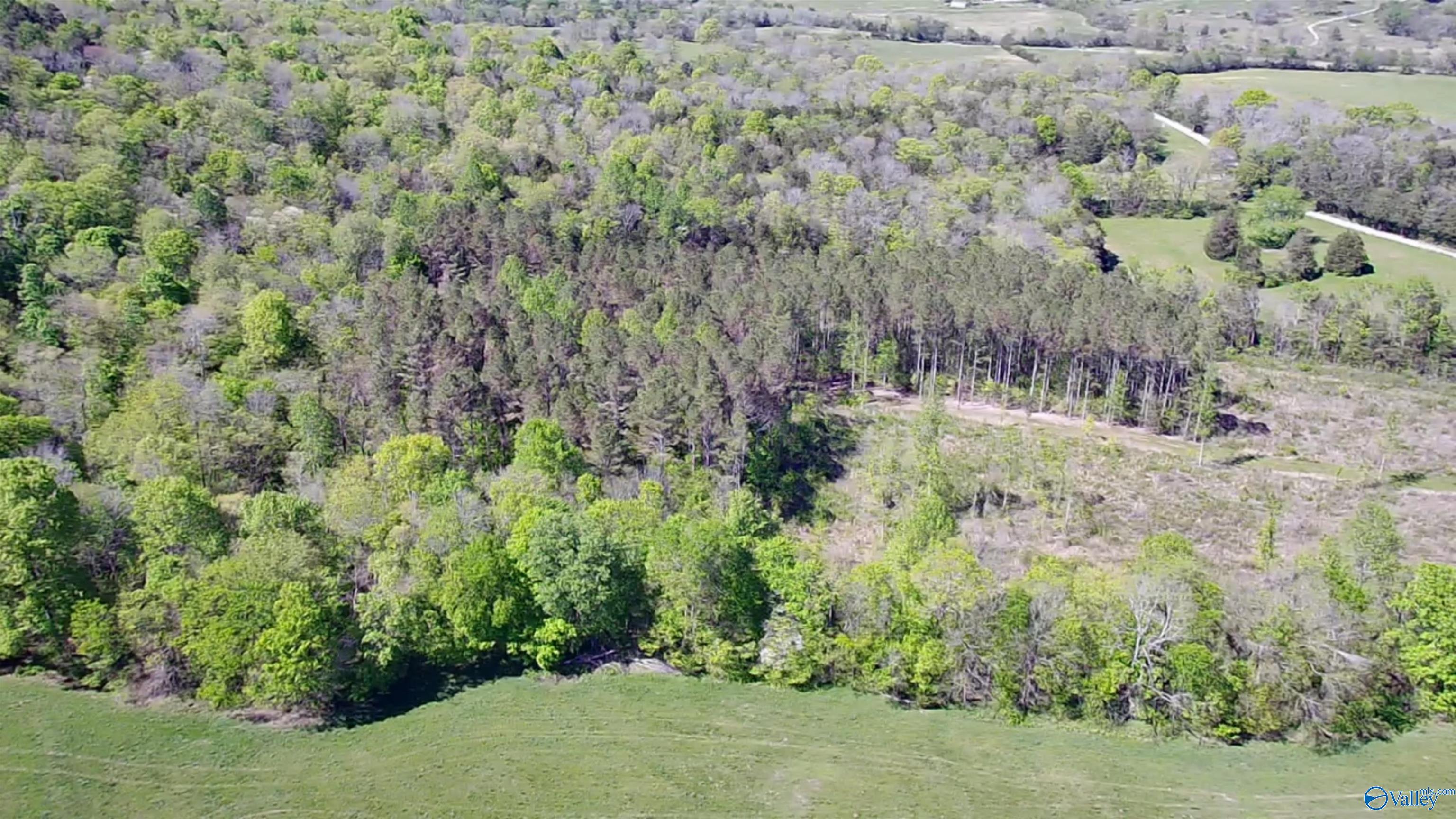 9 Old Stage Road, Ardmore, Tennessee image 25