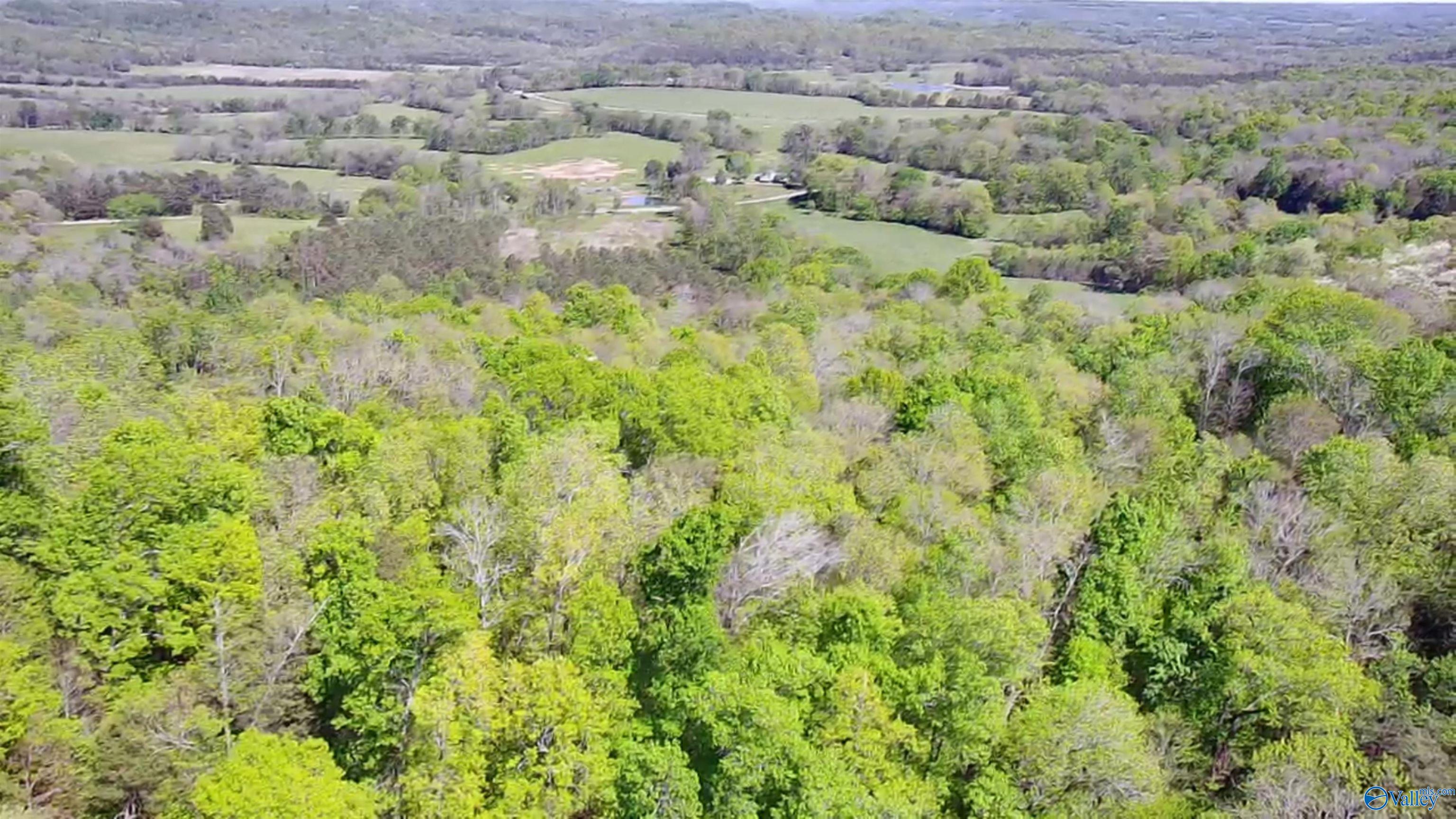 9 Old Stage Road, Ardmore, Tennessee image 23