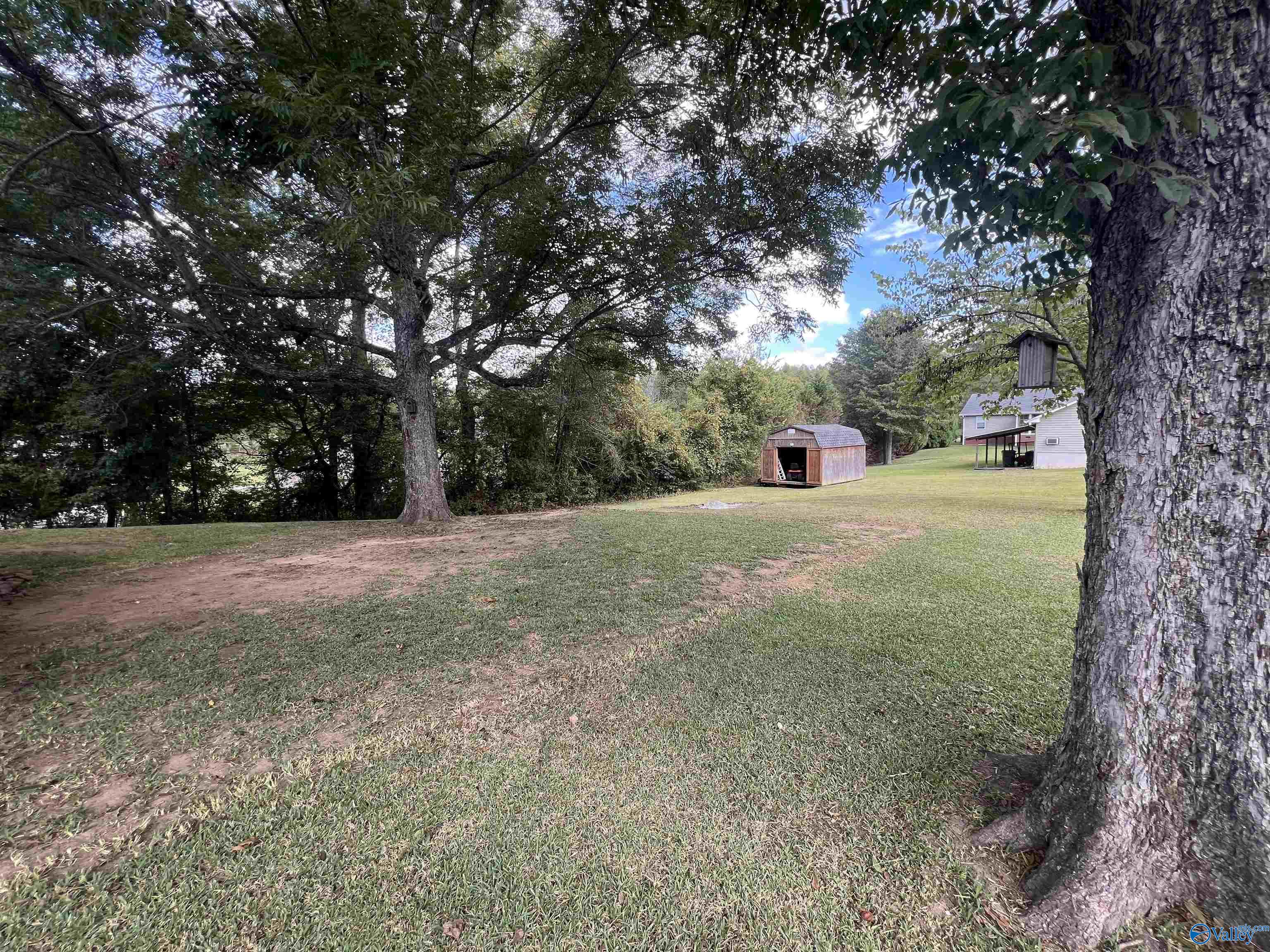 2677 Robertson Street, Southside, Alabama image 17