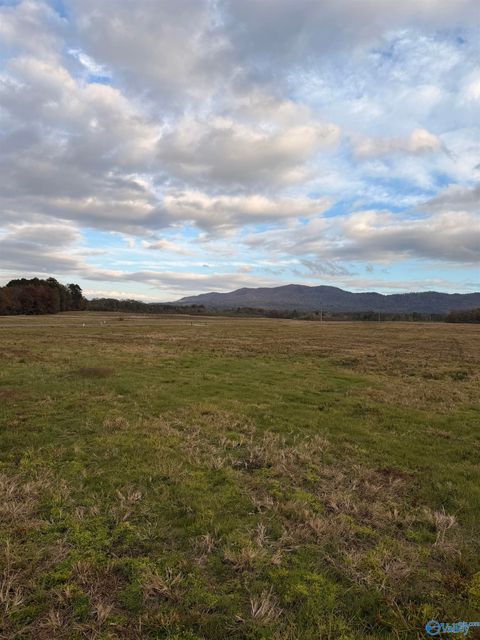 Vacant Land For Sale - LOT 51 County Road 32<br/> Cherokee County, Piedmont, AL 36272