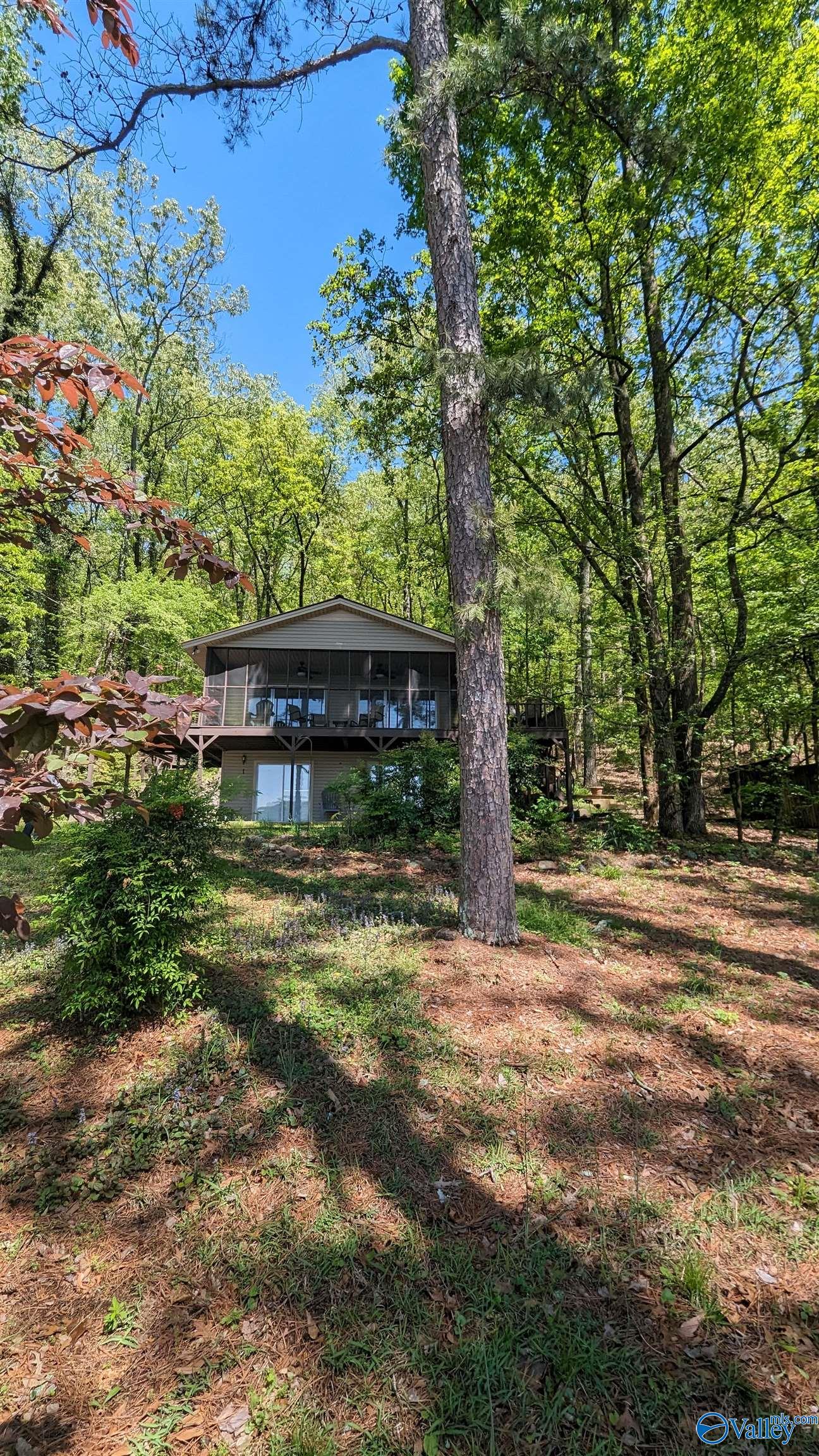 1930 County Road 104, Cedar Bluff, Alabama image 3