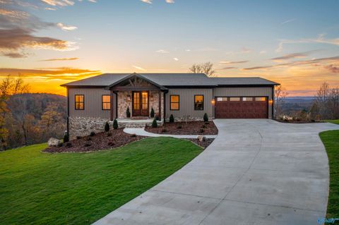 Photo of 1205 Raymond Lane, Southside, AL 35907 (MLS # 21914075)