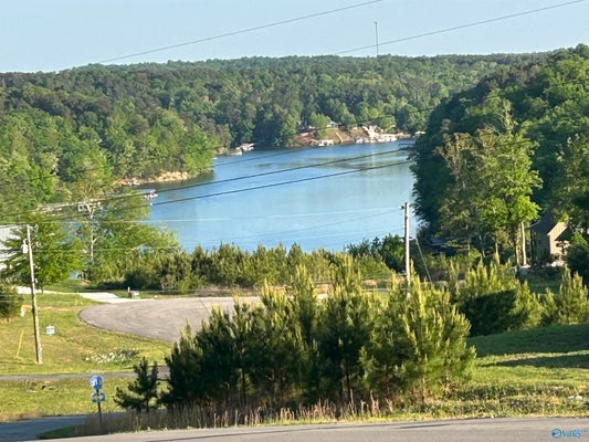 90 COUNTY RD 367, CRANE HILL, AL 35053 - Image 82b39e5f07df71b3ddba9c02ec50eb3f/3255607083