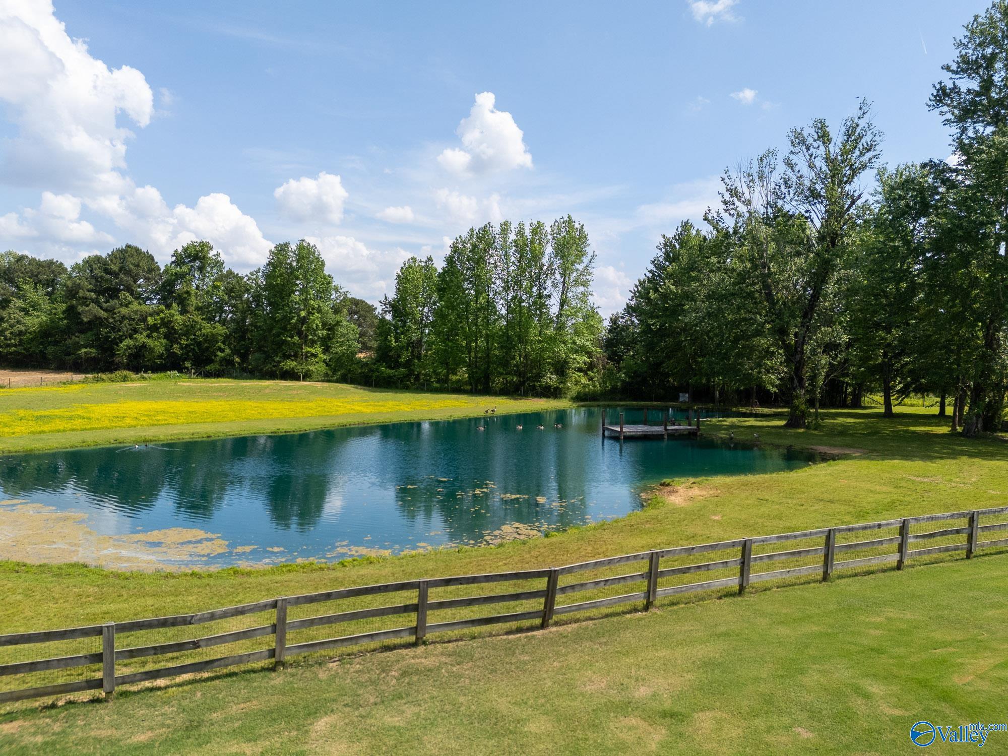 14690 Birchbark Street, Athens, Alabama image 42