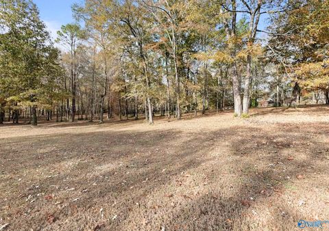 Vacant Land For Sale - 1.22 AC Riverview Circle<br/> Jackson County, Scottsboro, AL 35769