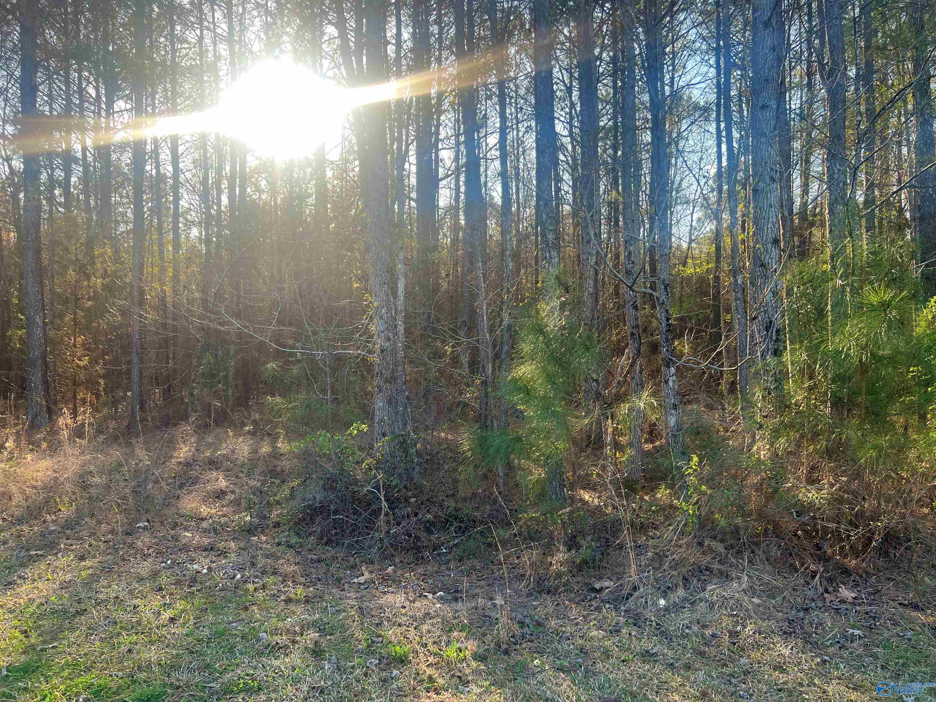 Lot 1 Summer Breeze Drive, Cedar Bluff, Alabama image 1