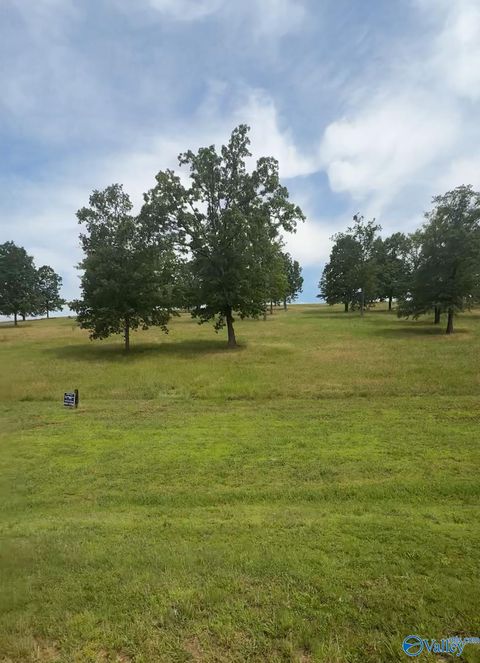 Vacant Land For Sale - LOT 220 County Road 767 #220<br/> Cherokee County, Cedar Bluff, AL 35959