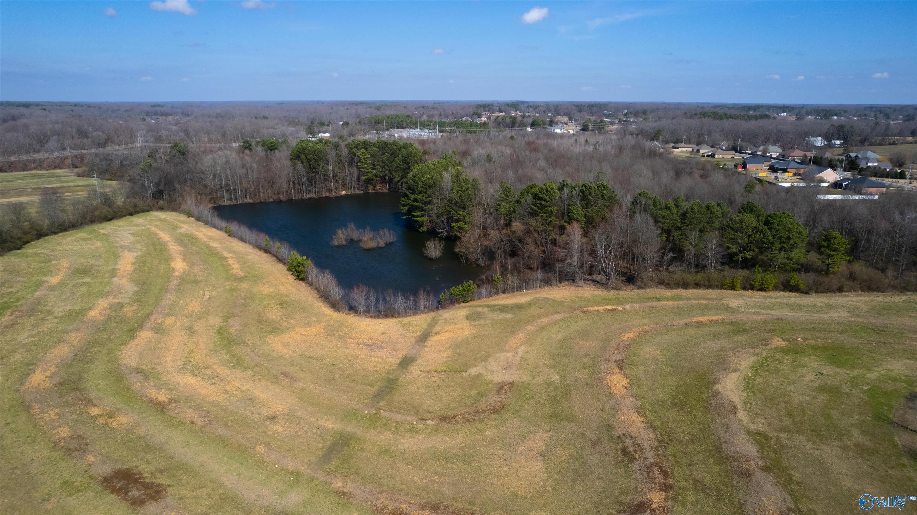 24844 Holland Lane, Athens, Alabama image 4