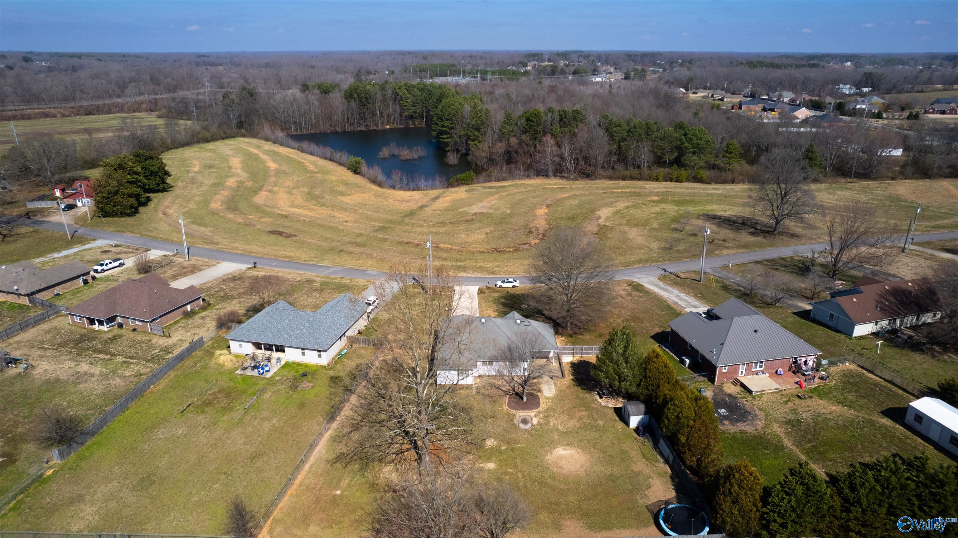 24844 Holland Lane, Athens, Alabama image 3