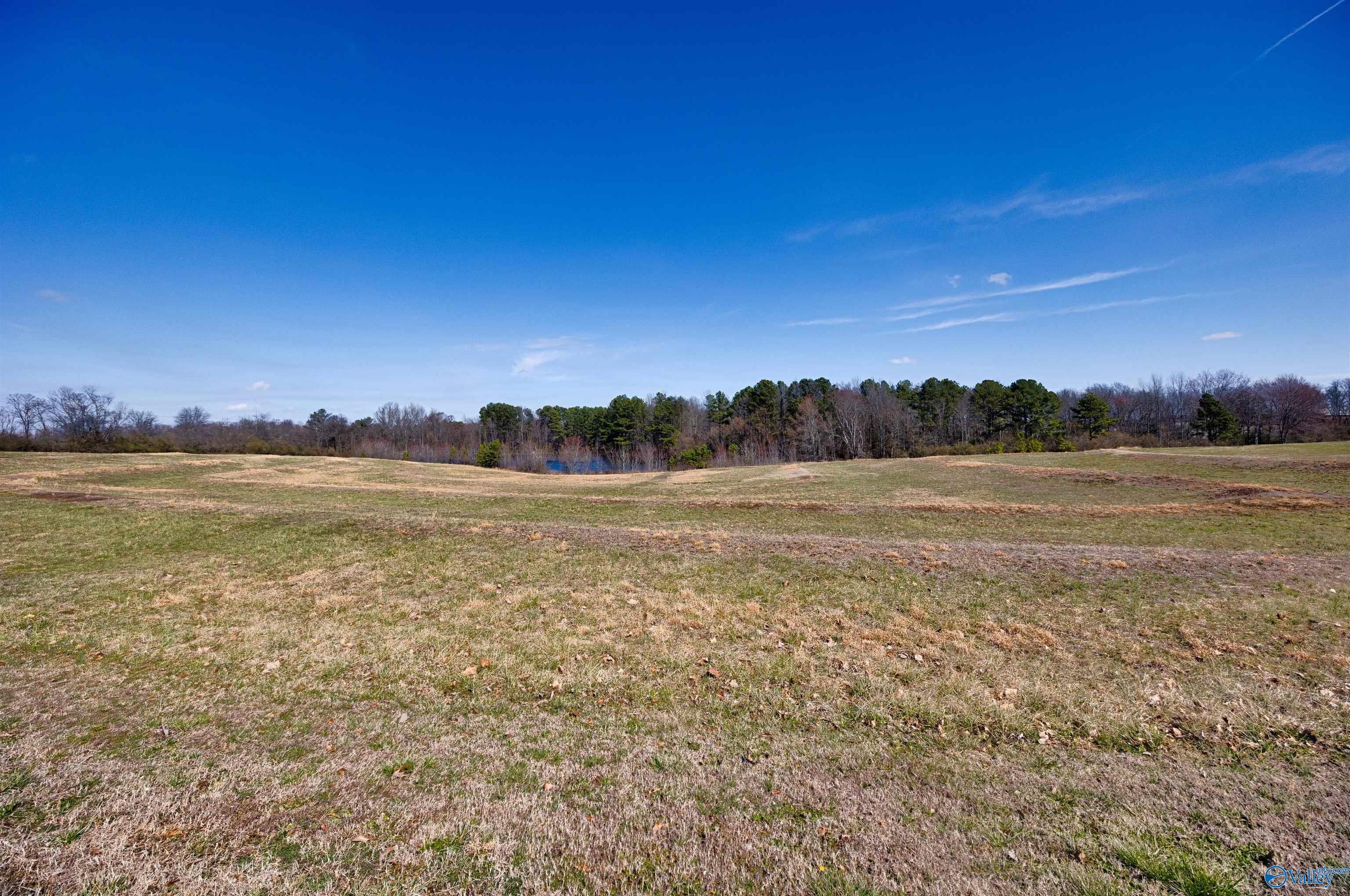 24844 Holland Lane, Athens, Alabama image 5