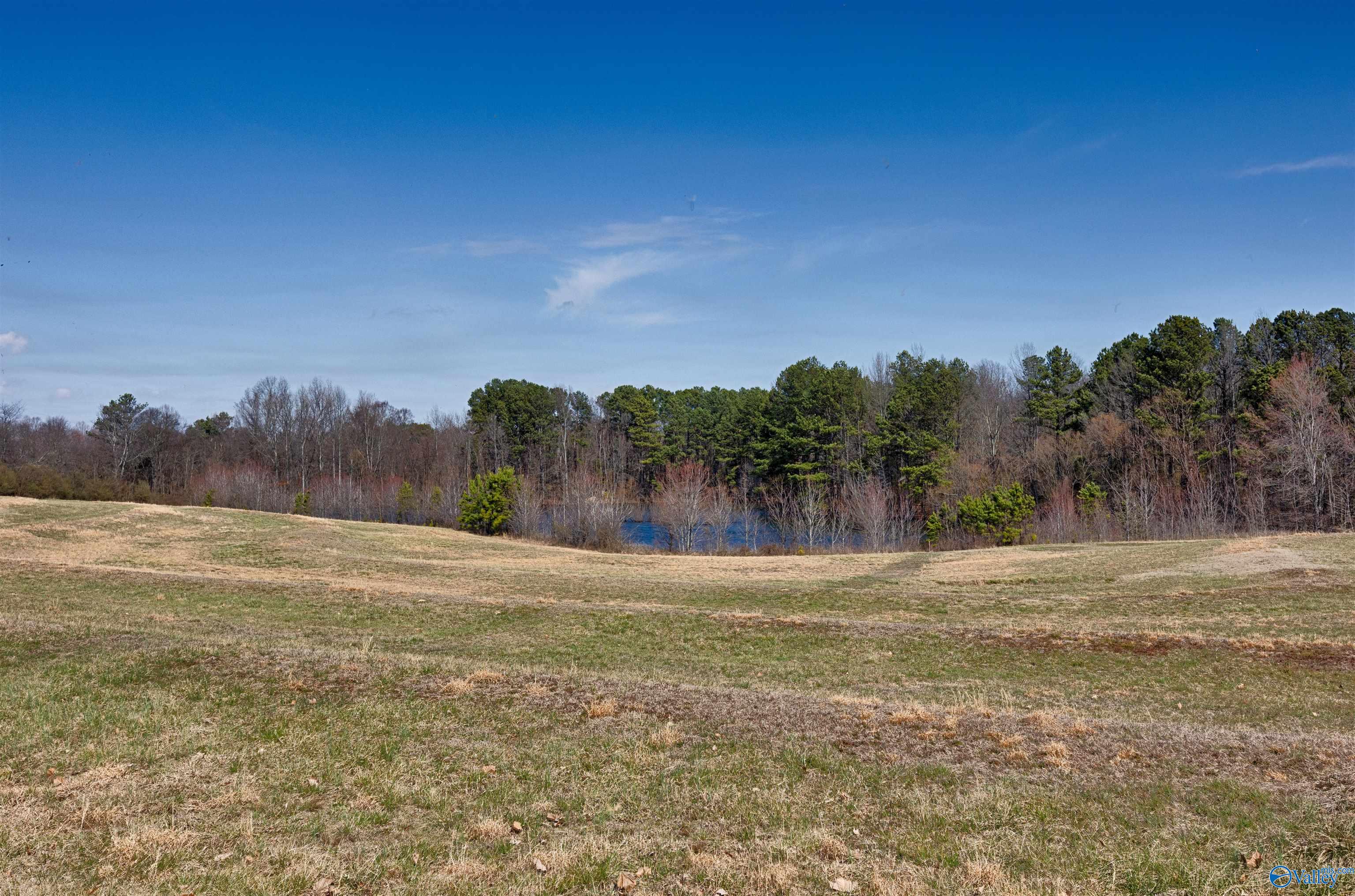 24844 Holland Lane, Athens, Alabama image 6