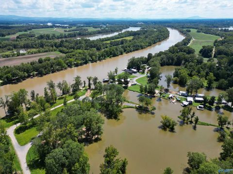 Vacant Land For Sale - 11 County Road 182<br/> Cherokee County, Cedar Bluff, AL 35959