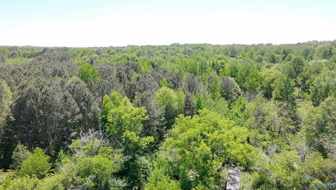 Vacant Land For Sale - 4049 Bethsaida Road<br/> Marshall County, Boaz, AL 35957