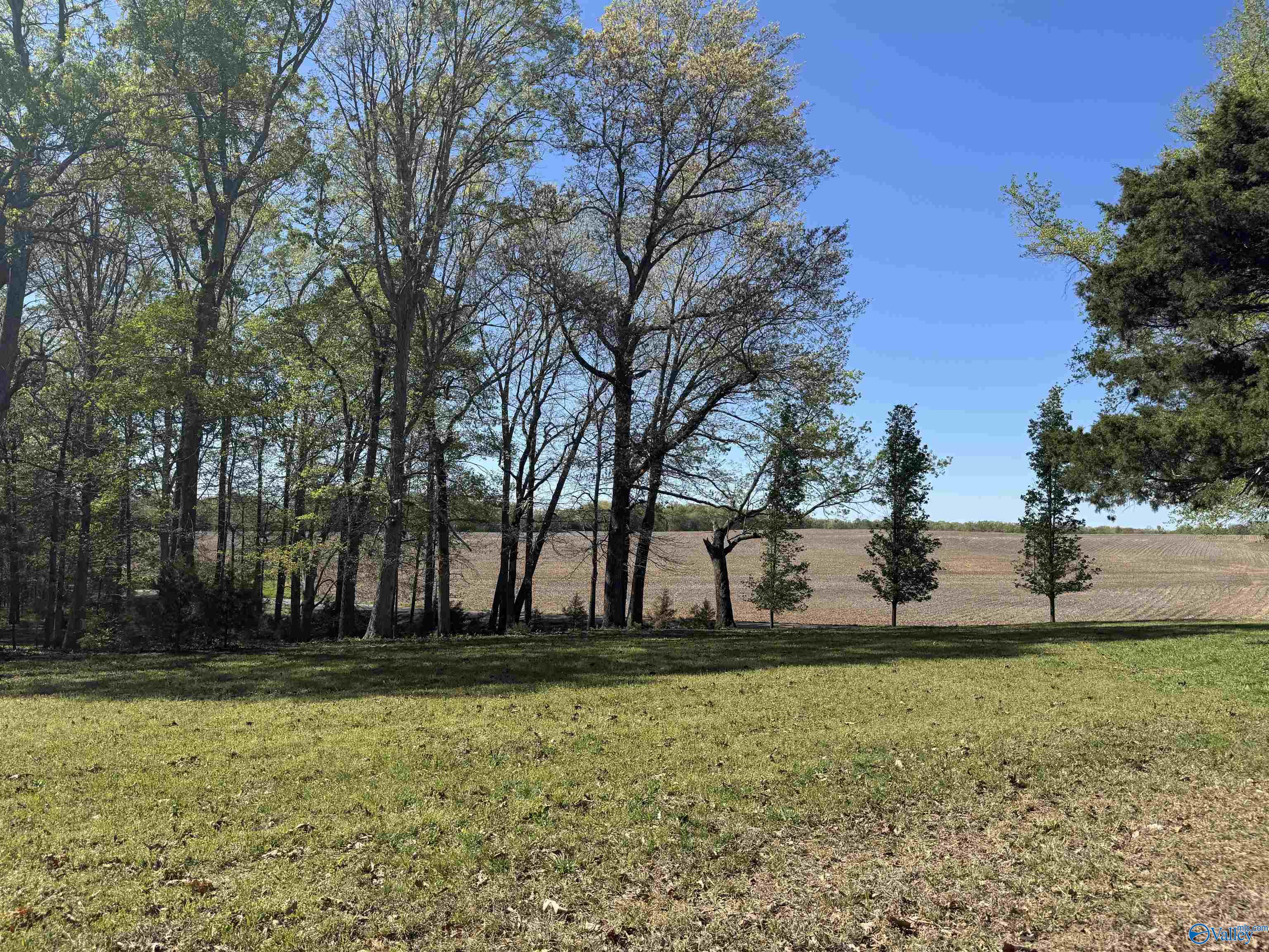 1186 J B Walker Road, New Market, Alabama image 2